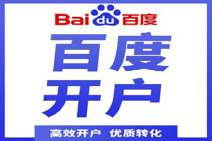 某品牌通过百度广告实现快速增长的案例